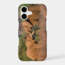 Search for tusks iphone cases Trunk