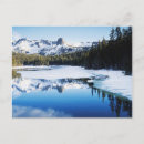 Search for sierra nevada postcards Forest