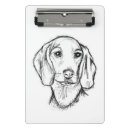 Search for mini dachshund White