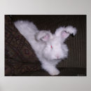 Search for easter birthday posters Rabbit