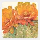 Search for watercolor cactus stickers Foliage
