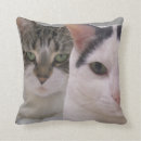 Search for best friend funny saying cushions Humour