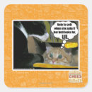 Search for lie stickers I can has cheezburger