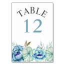 Search for mint green wedding table cards Pretty
