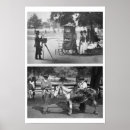 Search for common as a posters Photography