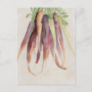Search for gardener postcards Chef