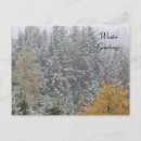 Search for whistler postcards Winter