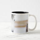 Search for white horses mugs Nature