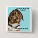 Search for adopting badges Cute