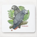 Search for congo electronics Parrot