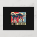Search for golden doodle postcards Dog