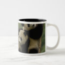 Search for temperate mugs Habitat loss