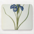 Search for redoute mousepads Illustration