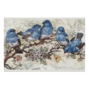 Search for large butterfly posters Nature