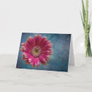 Search for gerbera cards Pink