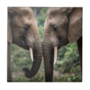 Search for elephant tiles Wildlife