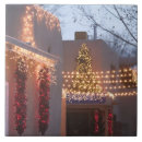 Search for new mexico tiles Outdoors