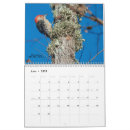 Search for bird calendars Feathers