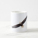 Search for bird symbol mugs Birds of prey