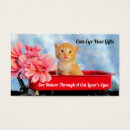 Search for cat shaped business cards Kitten