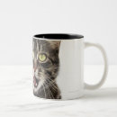 Search for cats head mugs Tabby