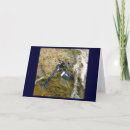 Search for mud cards Animal