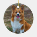 Search for pembroke welsh corgi christmas tree decorations Animal lover