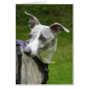 Search for brindle cards Sighthound