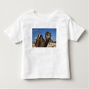 Search for sahara desert tshirts North africa