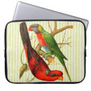 Search for bird lovers electronics Tropical