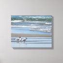 Search for sea bird art Nature