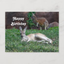 Search for rufus postcards Marsupial