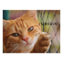 Search for missing cat posters Animal