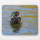 Search for ducks swimming mousepads Water