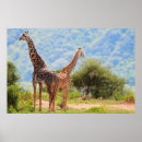 Search for tall giraffe posters Safari