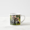 Search for playful cats mugs Adorable