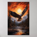 Search for soaring eagle posters Wildlife