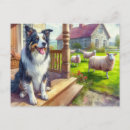 Search for border collie postcards Sheep