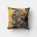 Search for deer cushions Wildlife