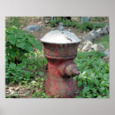 Search for fire hydrant Nature
