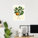 Search for botanical posters Stylish
