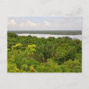 Search for rain forest postcards Travel