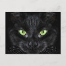 Search for black eye postcards Animal
