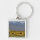 Search for release key rings Chuck haney