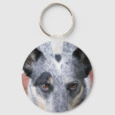 Search for heelers key rings Dog