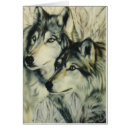 Search for timber wolves Wildlife