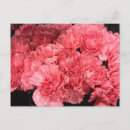 Search for postage photography Flowers