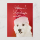 Search for events christmas cards Celebration