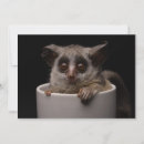 Search for cute monkey thank you cards Zoo