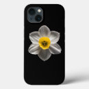 Search for daffodil iphone cases Plant